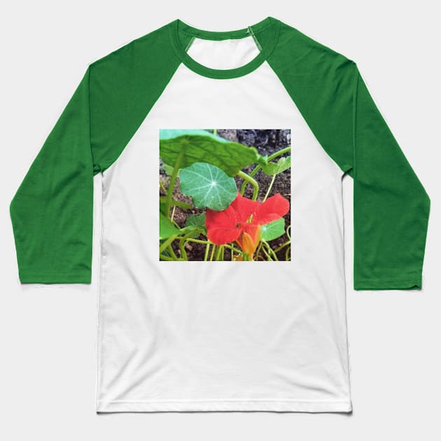 Nasturtium Empress of India Baseball T-Shirt by Hajarsdeco